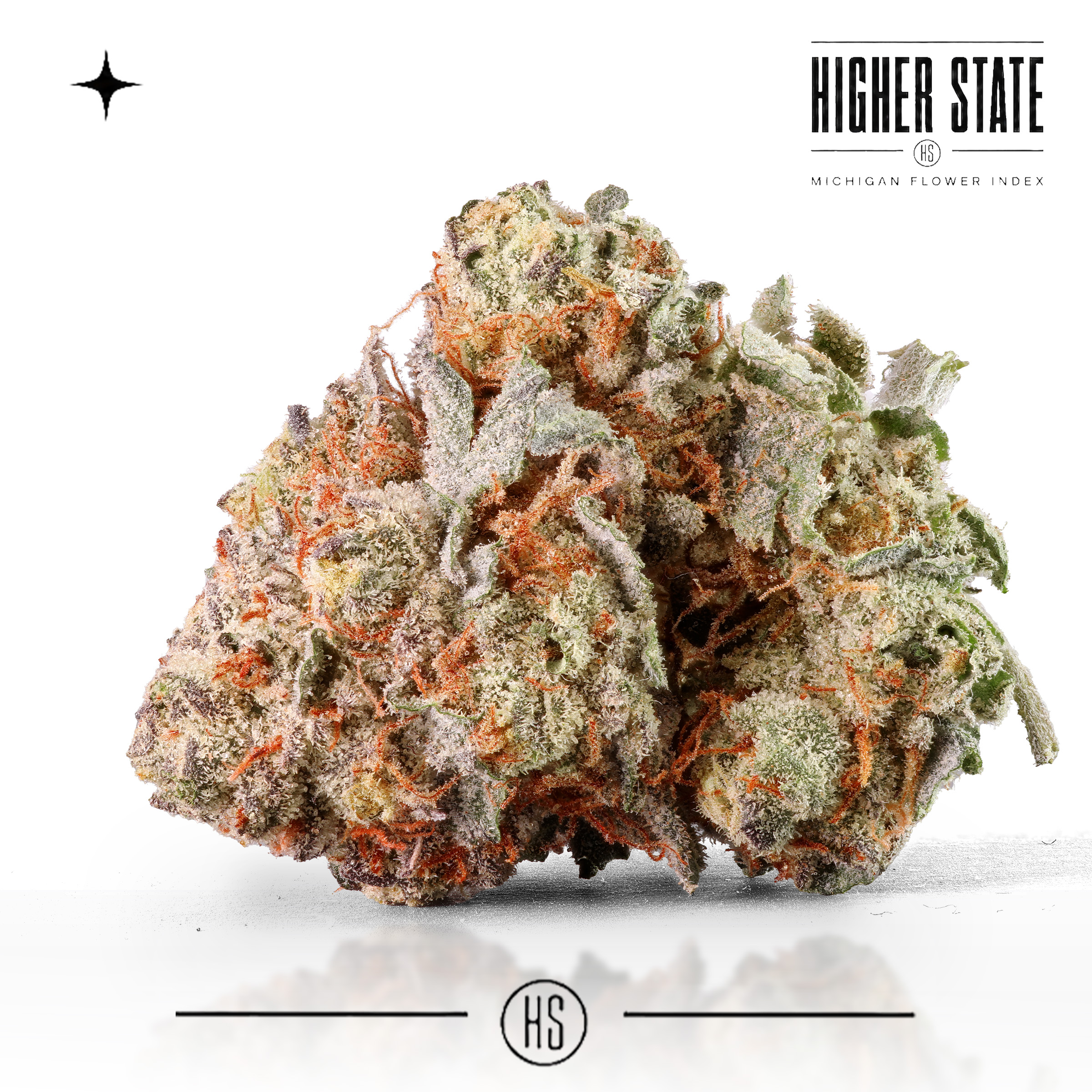 Detroit Candy by Cloud Farms — whole flower