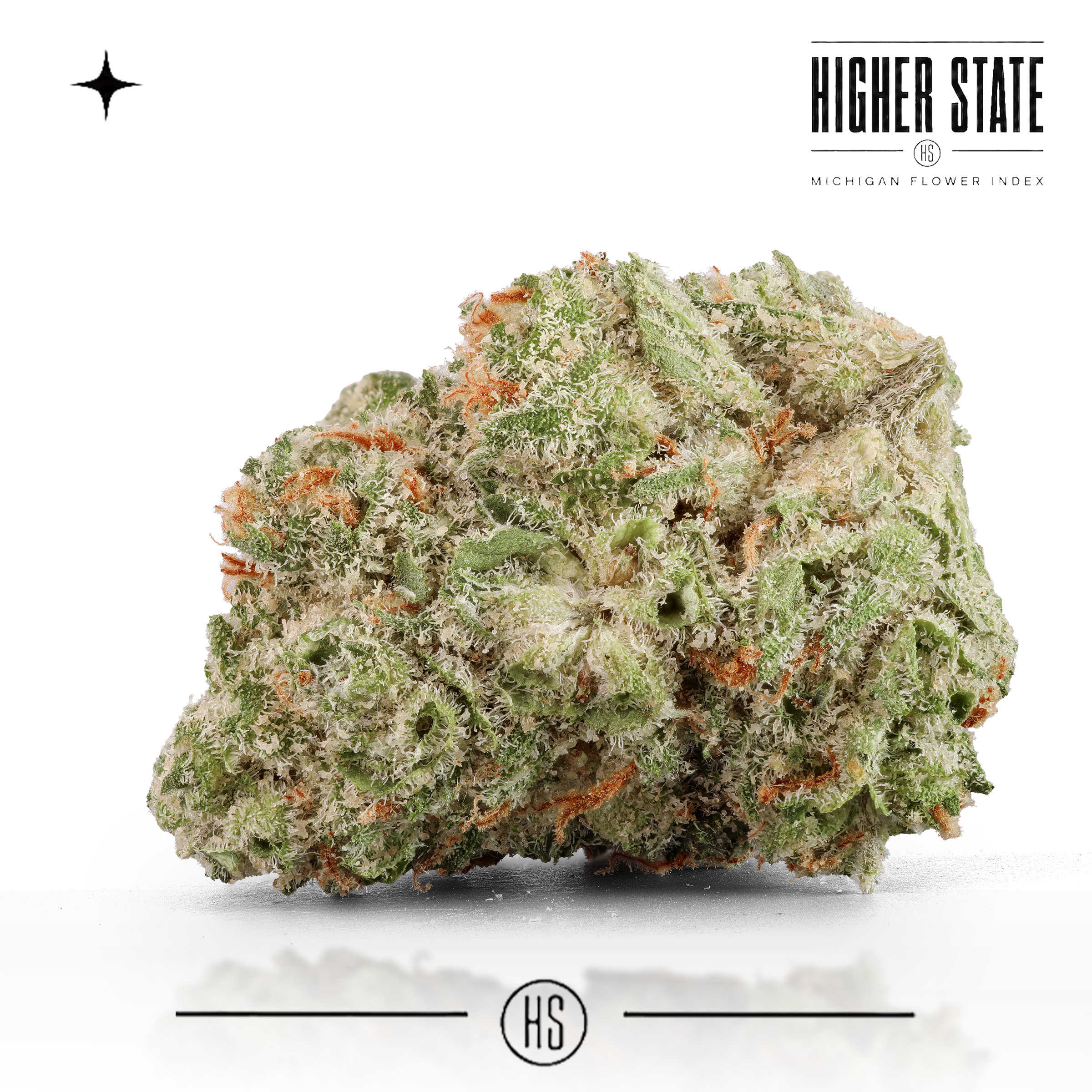 J1 by Common Citizen — whole flower