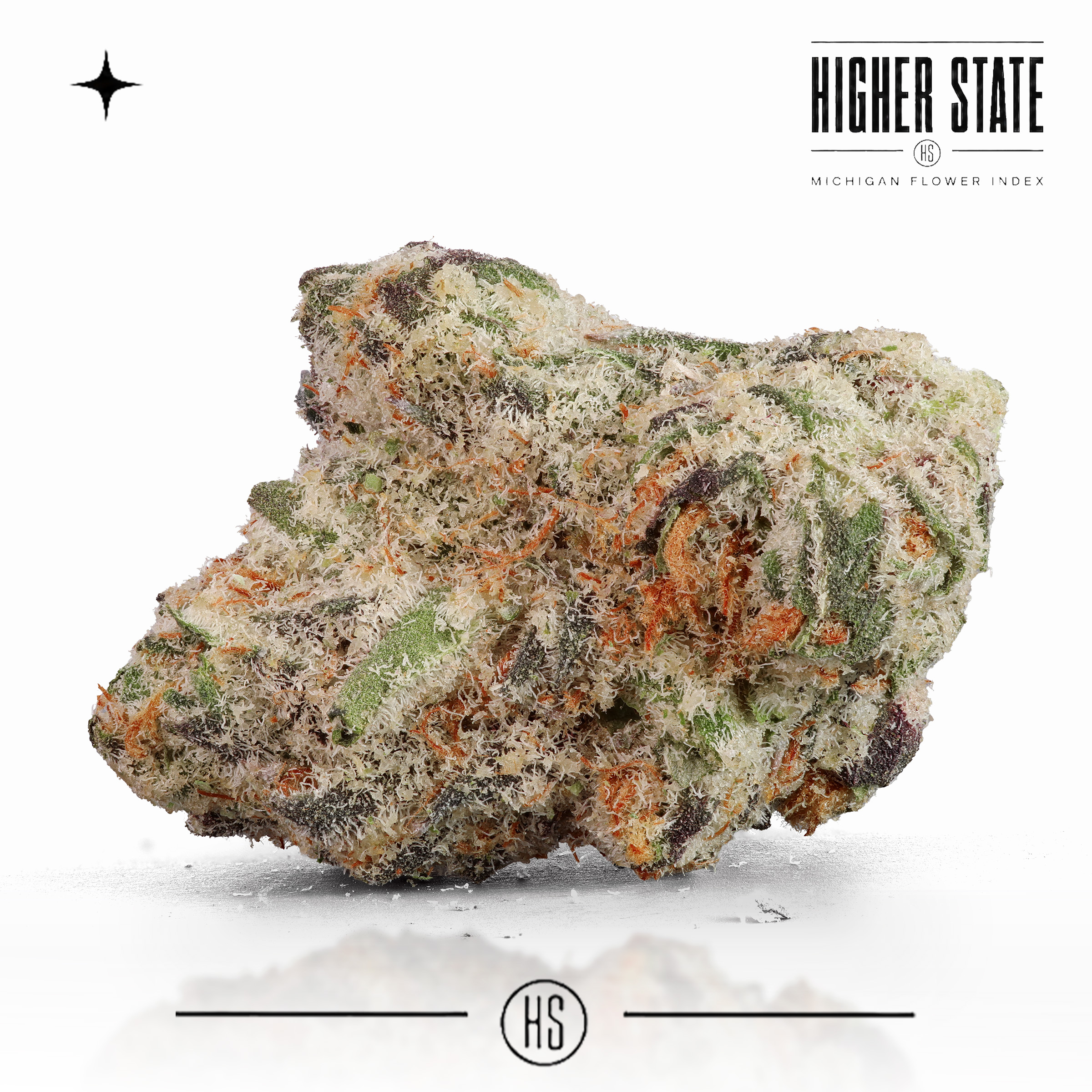 Star Killer by Common Citizen — whole flower