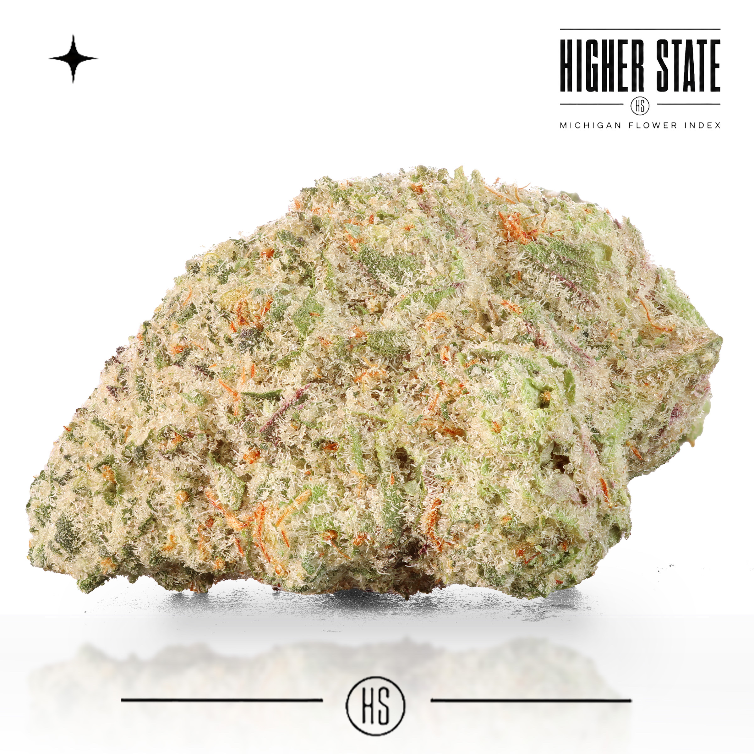 Wonka Bars by Dank & Disorderly — whole flower
