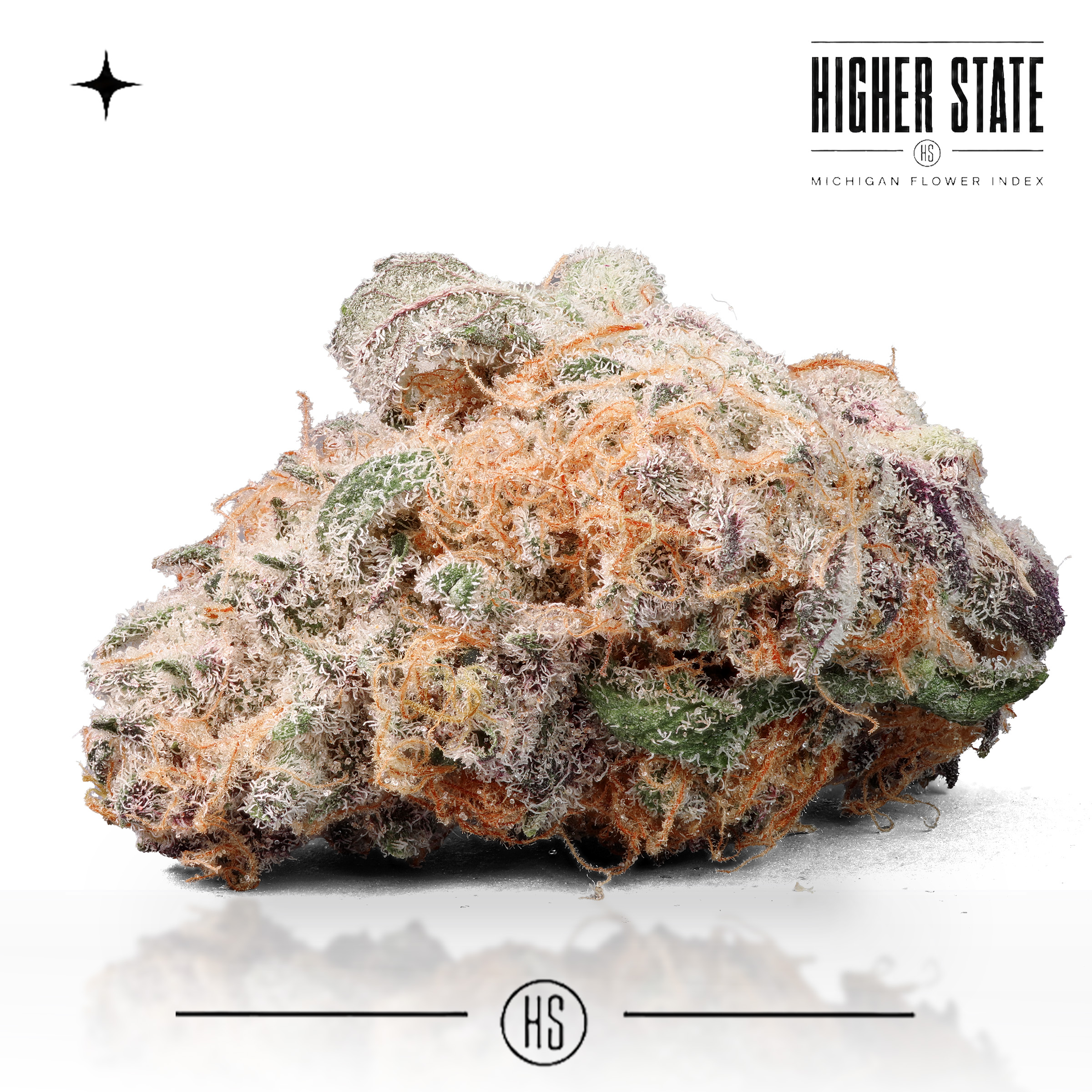 Orange Julius by Freedom Green — whole flower