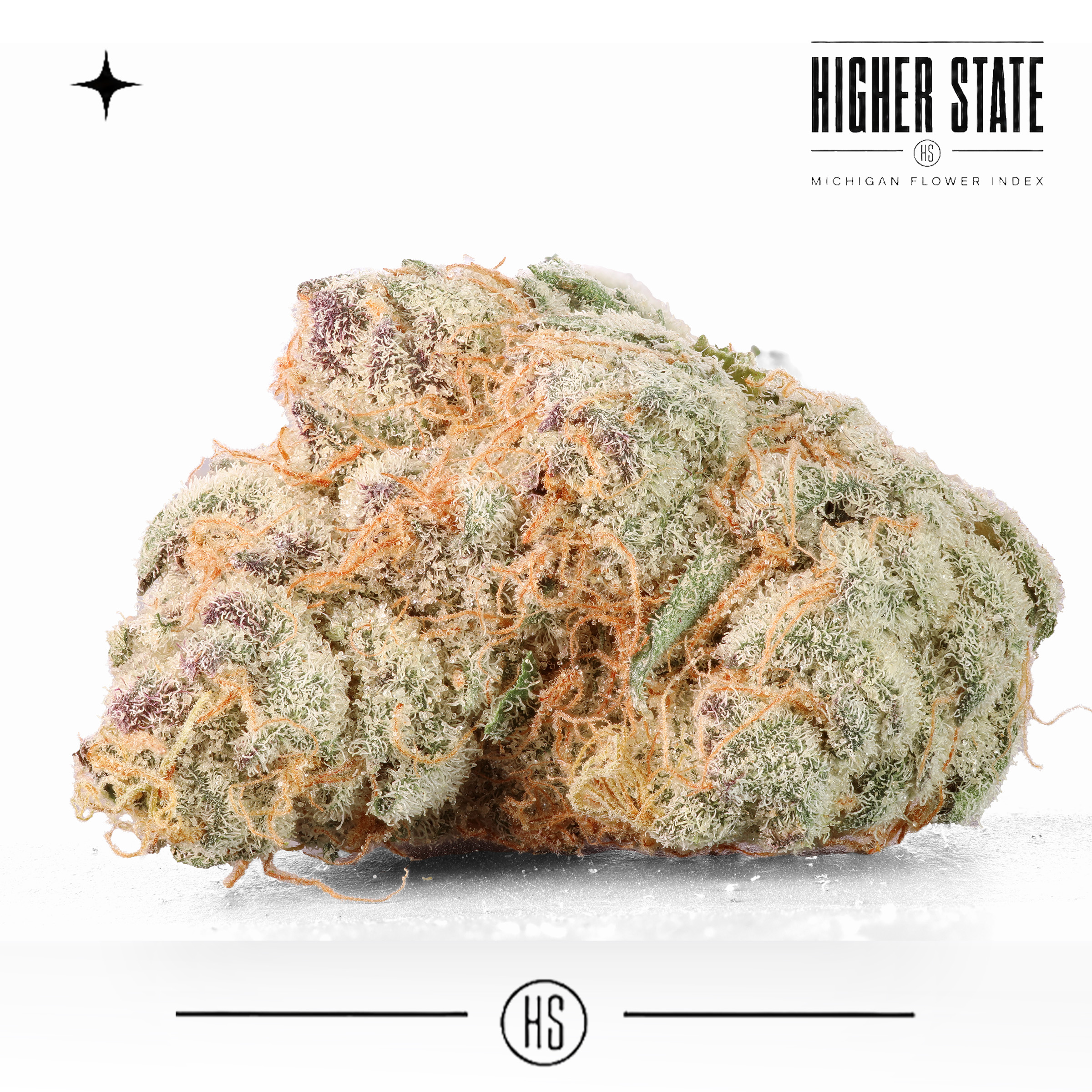 Glitterita #6 by Goldkine — whole flower