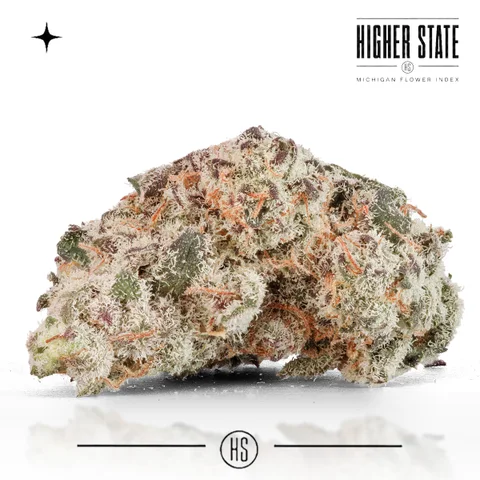 Blueberry Sugar by Primitiv — whole flower