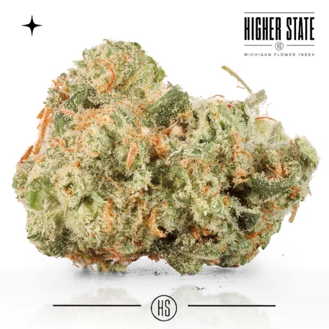 Cement Shoes by Dank & Disorderly — whole flower