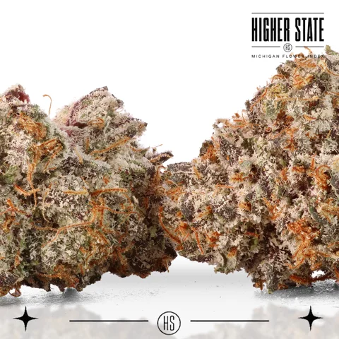 Sherbz by Dank & Disorderly — flower detail