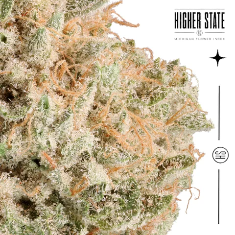 Galactic Sugar by Elysium — macro detail