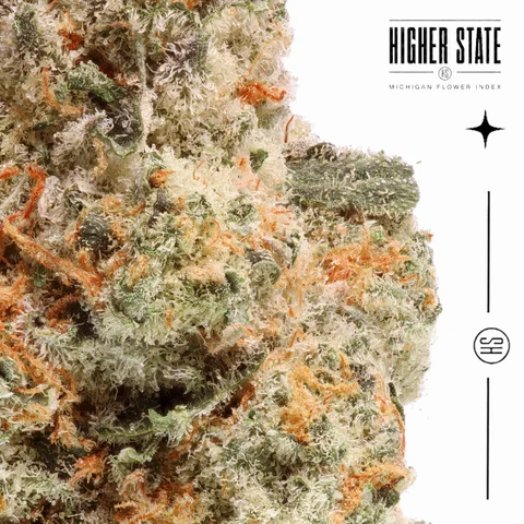 Purple Punch by Objectiv Growth — macro detail
