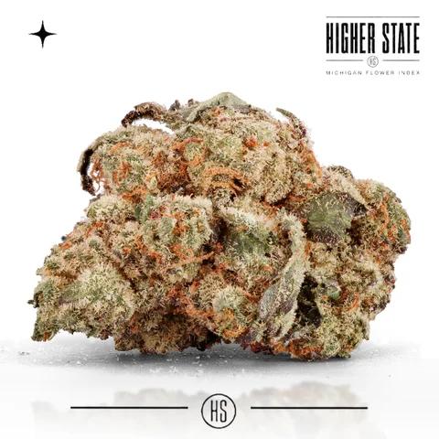 Neo Sorbet by One Garden — whole flower
