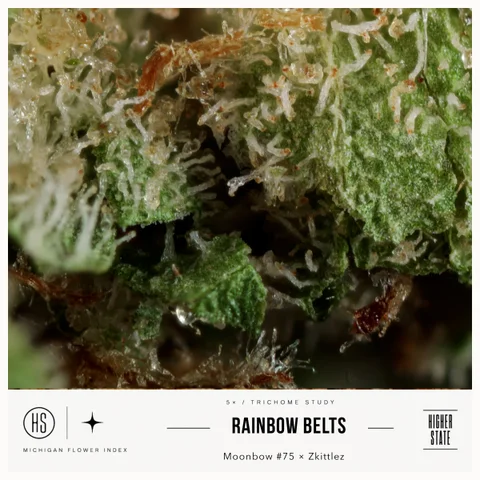 Rainbow Belts by Green Ganja — ultra-macro detail