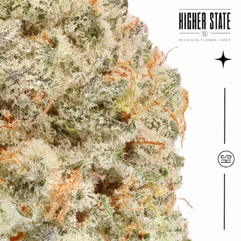Cap Junky by Cali Blaze — macro detail