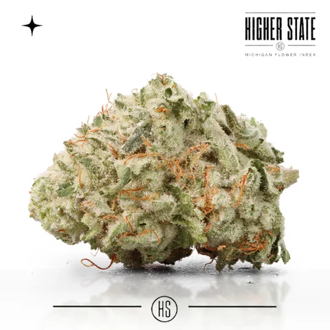 Nightshade by Narvona — whole flower