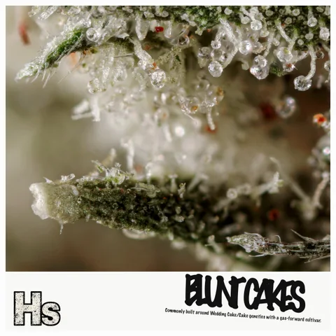 Blunt Cakes by Weed Snobs — ultra-macro detail