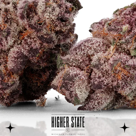 Tangie by Primitiv — flower detail