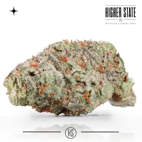 Shotti by Common Citizen — whole flower