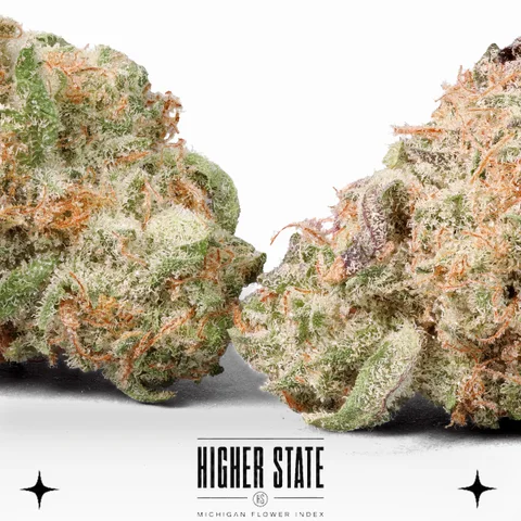 Blueberry Muffin by Freedom Green — flower detail