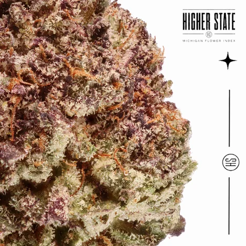 Planet Purple by Pro Gro — macro detail