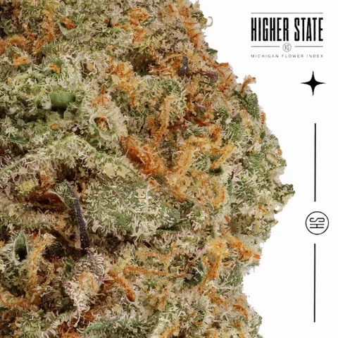 Magic Bubble Gum by MadPacks — macro detail