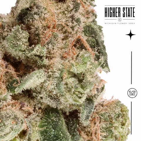 Blueberry OG by Cali Blaze — macro detail