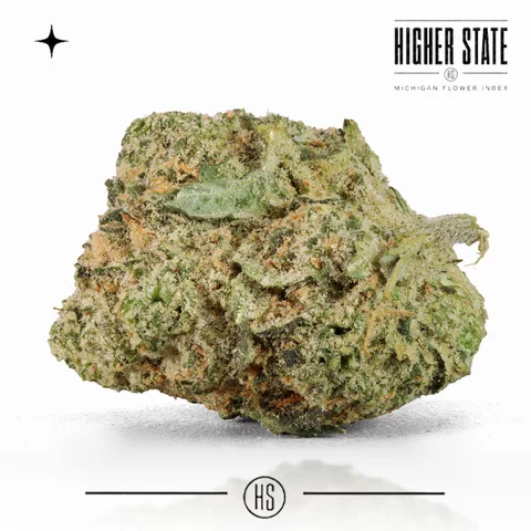 Maui True Blood by Glacier — whole flower