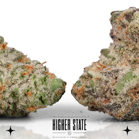 Star Killer by Common Citizen — flower detail