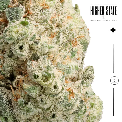 Koffee Breath by Cali Blaze — macro detail