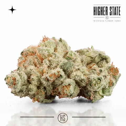 Grape Stomper by Cali Blaze — whole flower