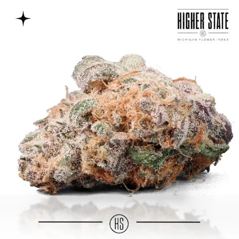 Orange Julius by Freedom Green — whole flower