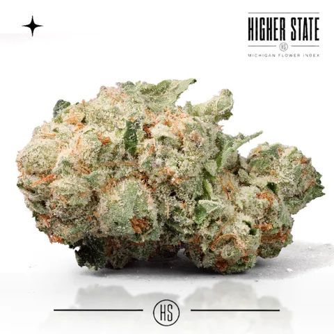 Cherry Slushie by Narvona — whole flower