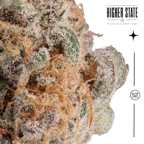 Orange Julius by Freedom Green — macro detail