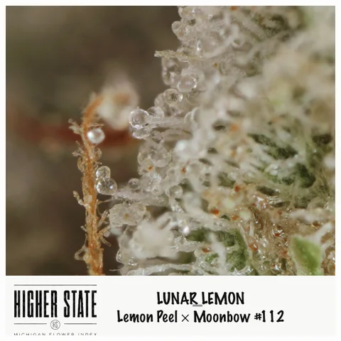 Lunar Lemon by Pro Gro — ultra-macro detail