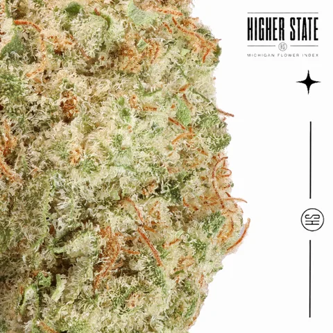 Acapulco Gold by Green Ganja — macro detail