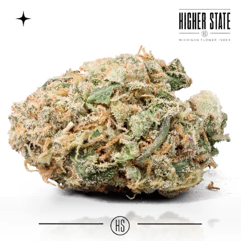 Mochi Melon by Freedom Green — whole flower