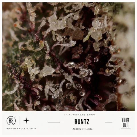 Runtz by Local Grove — ultra-macro detail