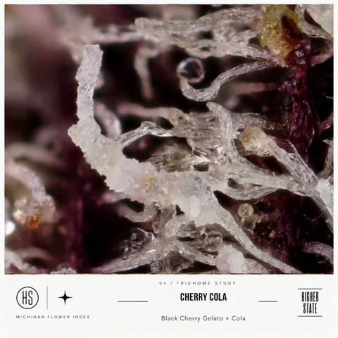 Cherry Cola by Local Grove — ultra-macro detail