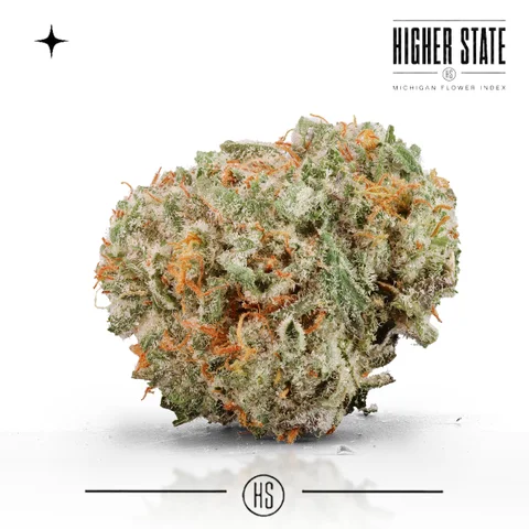 Orange Push Pop by Pro Gro — whole flower