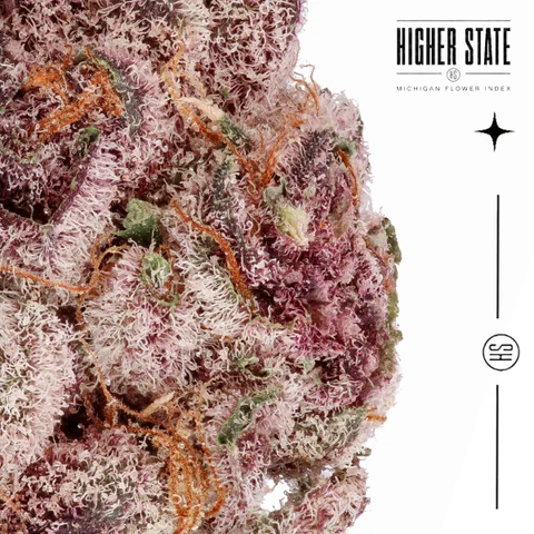 Tangie by Primitiv — macro detail
