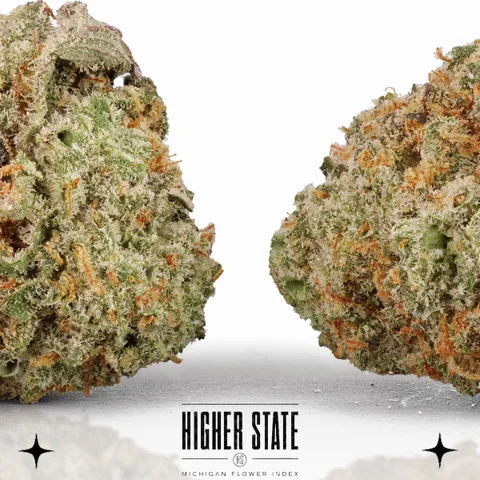 Magic Bubble Gum by MadPacks — flower detail