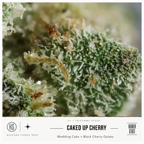 Caked Up Cherries by Muskegon Grow Co. — ultra-macro detail