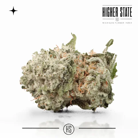 Deathstar by Narvona — whole flower