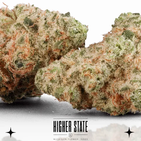 Tangie by Green Ganja — flower detail