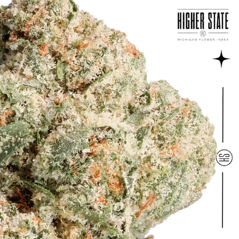 Buddha Tahoe by Common Citizen — macro detail