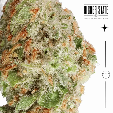 Blue Dream by Green Ganja — macro detail