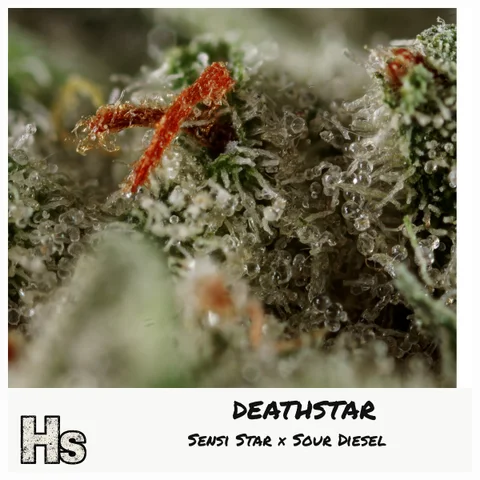 Deathstar by Narvona — ultra-macro detail