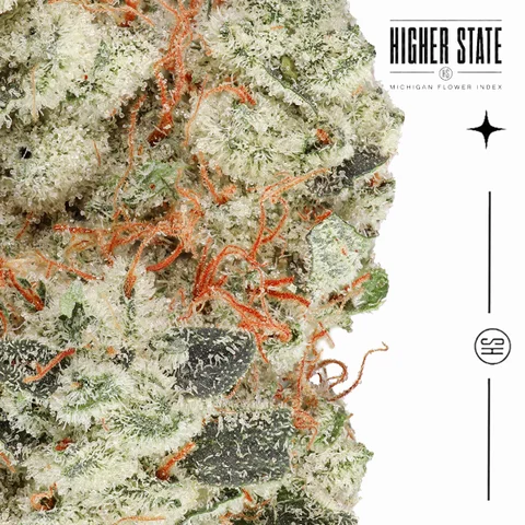 Gorilla Glue by Weed Snobs — macro detail