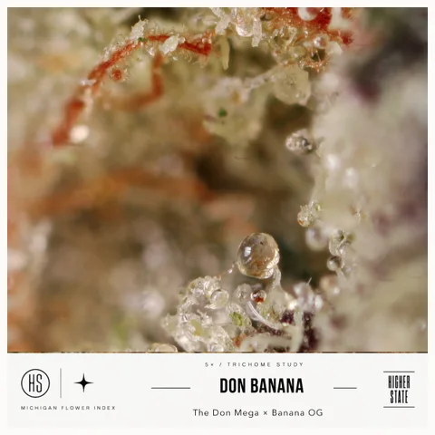 Don Banana by Skunkhouse — ultra-macro detail