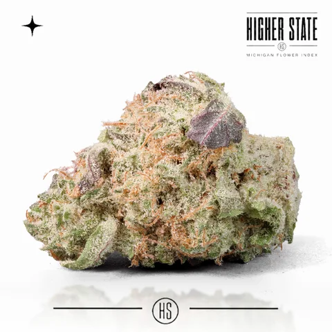 Blueberry Muffin by Freedom Green — whole flower