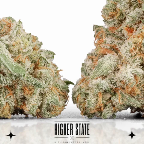 Orange Push Pop by Muskegon Grow Co. — flower detail