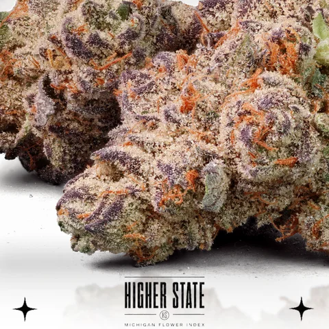 Black Cherry Gelato by Elysium — flower detail