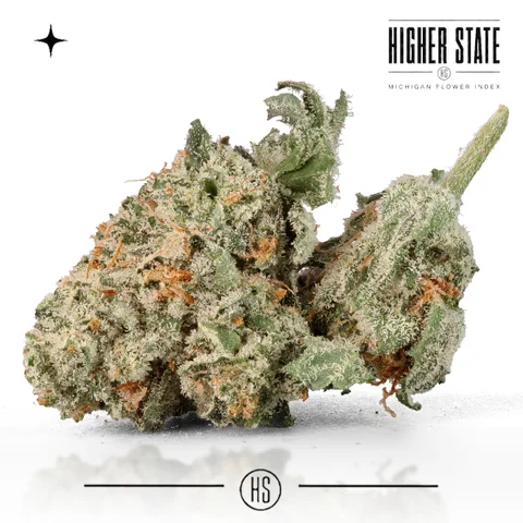 Purple Limeade by Guerilla Grown — whole flower