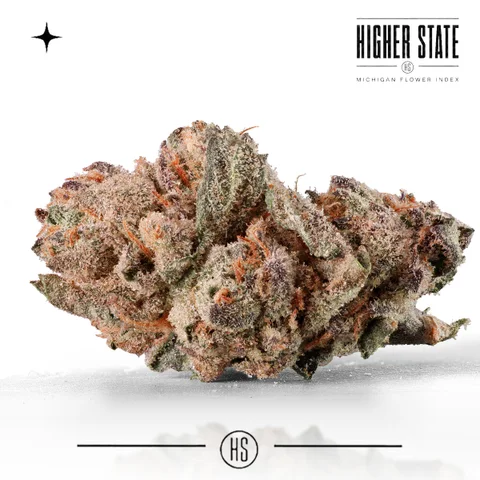 Lemon Cherry Burst by Cloud Farms — whole flower